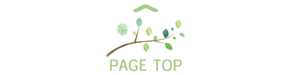 pagetop